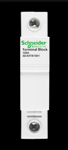 Schneider 100 amp terminal - 100,